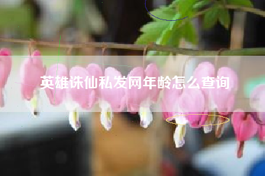 英雄诛仙私发网年龄怎么查询