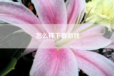 怎么样下载游戏