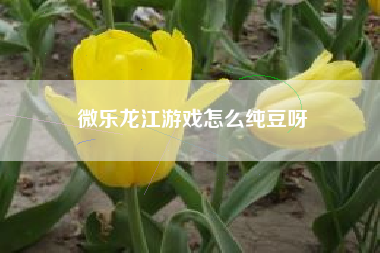 微乐龙江游戏怎么纯豆呀