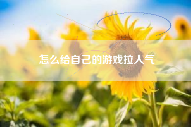 怎么给自己的游戏拉人气