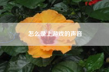 怎么录上游戏的声音