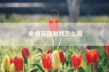 电视英语游戏怎么说