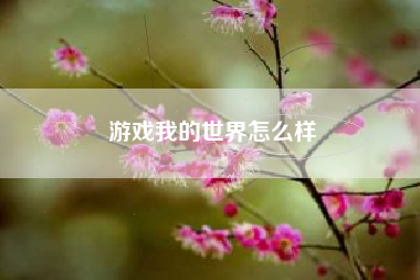 游戏我的世界怎么样