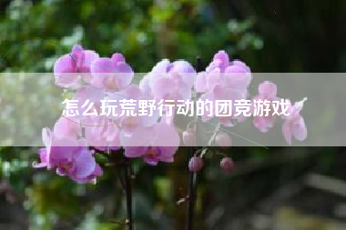 怎么玩荒野行动的团竞游戏