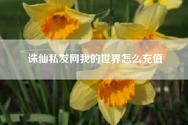 诛仙私发网我的世界怎么充值