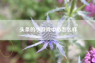 头条的小游戏中心怎么样