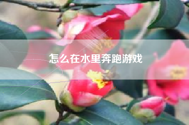 怎么在水里奔跑游戏