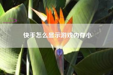 快手怎么显示游戏内存小