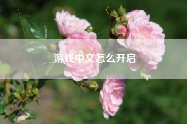 游戏中文怎么开启