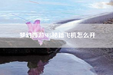 梦幻西游SF5秘籍飞机怎么开