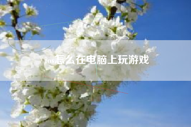 ios怎么在电脑上玩游戏