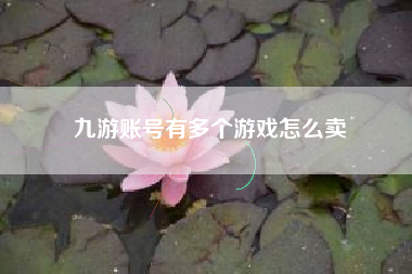 九游账号有多个游戏怎么卖