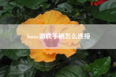 home游戏手柄怎么连接