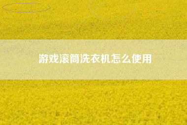 游戏滚筒洗衣机怎么使用