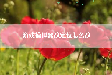 游戏模拟器改定位怎么改