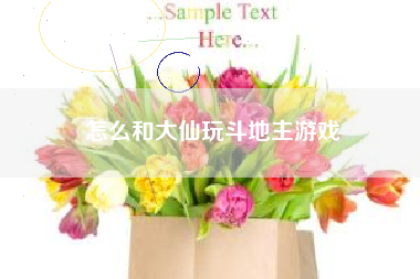 怎么和大仙玩斗地主游戏