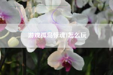 游戏孤岛惊魂1怎么玩