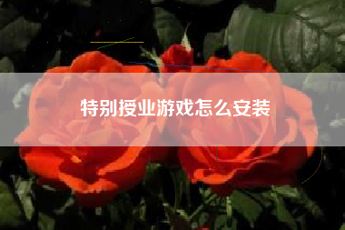 特别授业游戏怎么安装