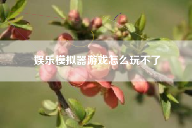 娱乐模拟器游戏怎么玩不了