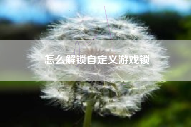 怎么解锁自定义游戏锁