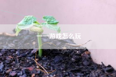 一一游戏怎么玩