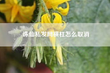 诛仙私发网横杠怎么取消