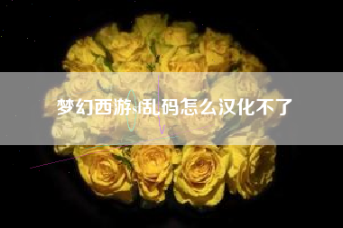 梦幻西游sf乱码怎么汉化不了