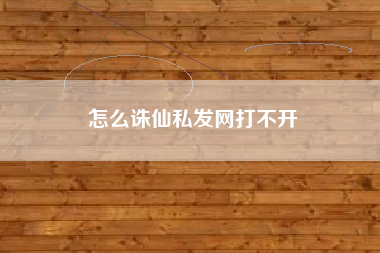 怎么诛仙私发网打不开
