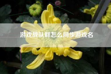 游戏战队群怎么同步游戏名