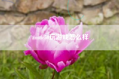 amdc50玩游戏怎么样