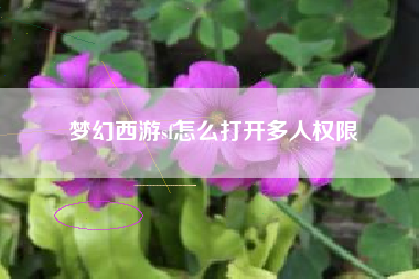 梦幻西游sf怎么打开多人权限