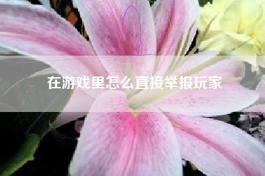 在游戏里怎么直接举报玩家