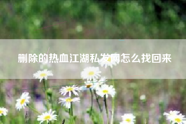 删除的热血江湖私发网怎么找回来