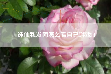 诛仙私发网怎么看自己游戏id