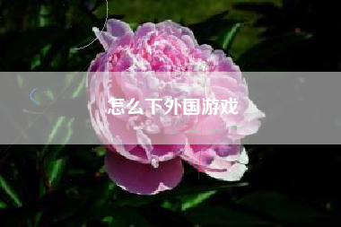 怎么下外国游戏