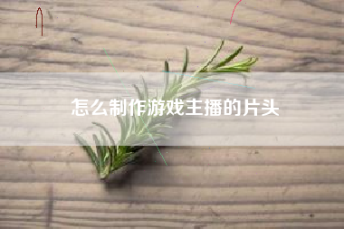 怎么制作游戏主播的片头