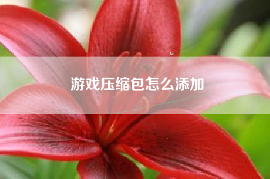 游戏压缩包怎么添加