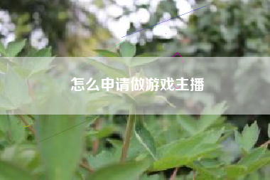 怎么申请做游戏主播