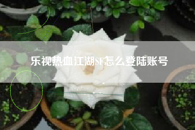 乐视热血江湖SF怎么登陆账号