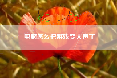 电脑怎么把游戏变大声了