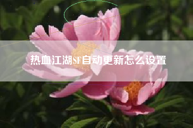 热血江湖SF自动更新怎么设置