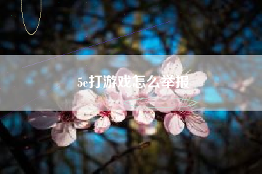 5e打游戏怎么举报