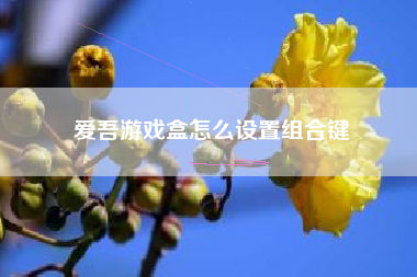 爱吾游戏盒怎么设置组合键
