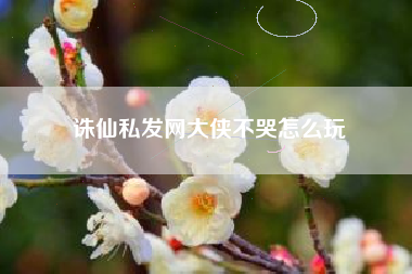 诛仙私发网大侠不哭怎么玩