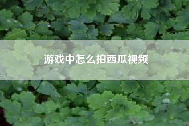 游戏中怎么拍西瓜视频