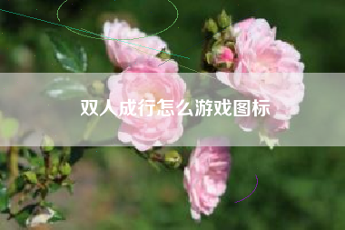 双人成行怎么游戏图标