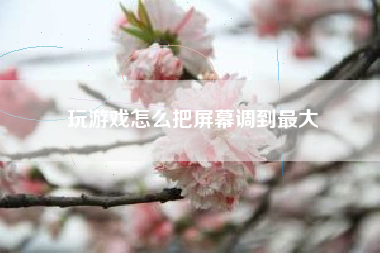 玩游戏怎么把屏幕调到最大