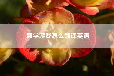 数学游戏怎么翻译英语