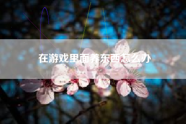 在游戏里面养东西怎么办